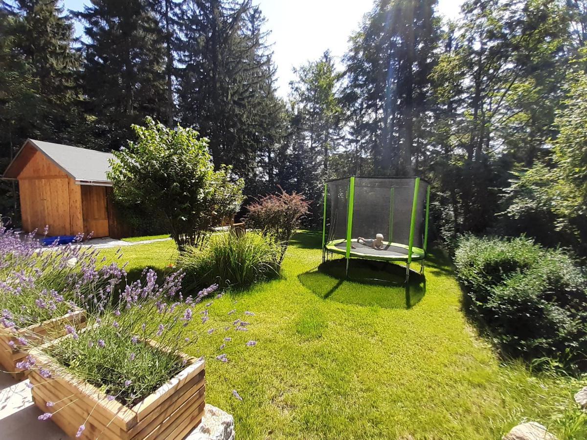 Apartamenty Przy Swierku Szklarska Poręba Buitenkant foto