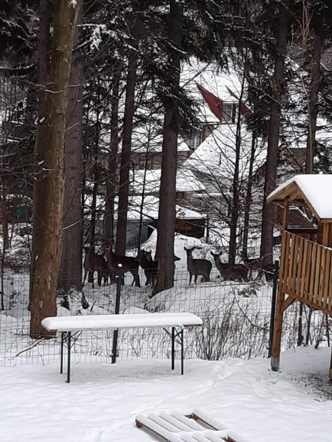 Apartamenty Przy Swierku Szklarska Poręba Buitenkant foto